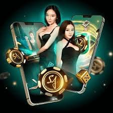 4966 bet